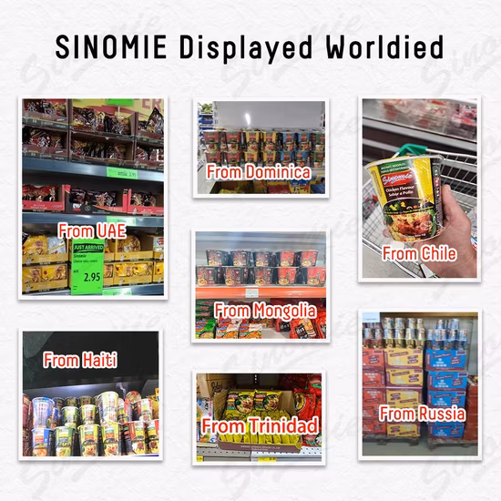 Fornecedor de fábrica chinesa macarrão instantâneo Halal de trigo integral Cup Ramen